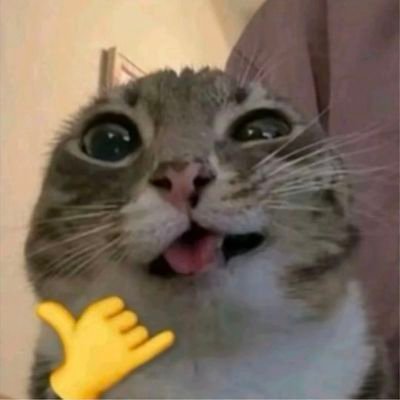 lordbandy's profile picture. 