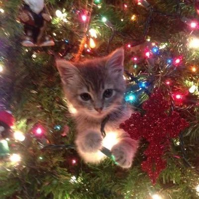 zxjixn's profile picture. 