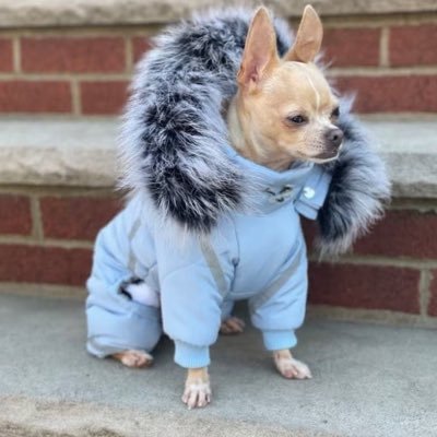 QanonRamen's profile picture. 