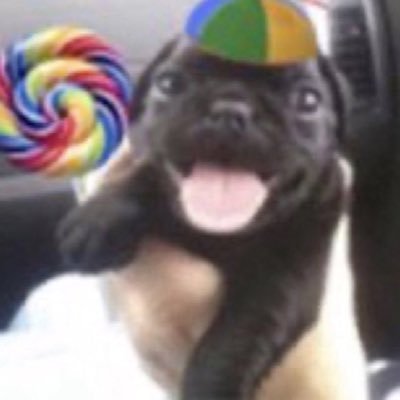 kumbayashit's profile picture. https://t.co/ZfwAzI49Lh