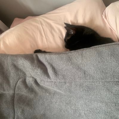 tassia_gra's profile picture. 