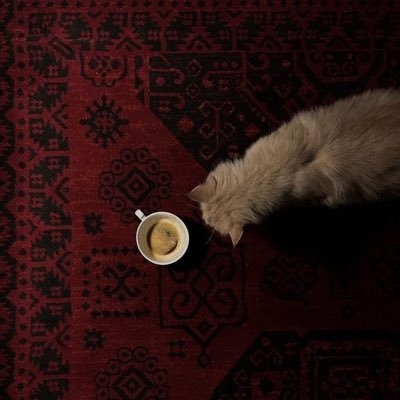 ill3ip's profile picture. ﴿ توفَنِي مُسْلماً وألْحِقني بالصَالِحين ﴾.