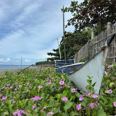 lungib_'s profile picture. Interested in the convergence of contemplative practice, nature-driven solutions, and social action