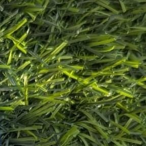 couple19pk's profile picture. couple from Karachi 
26 male 21 female 
follow for more pics and videos 

video call service available 
dm for fun