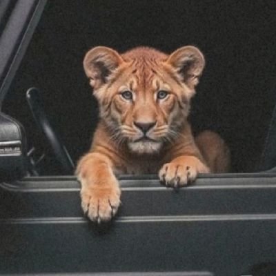 quite_space6's profile picture. TRUSTING ALLAH'S PLAN, STEP BY STEP