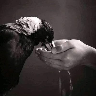 Ala50350's profile picture. 