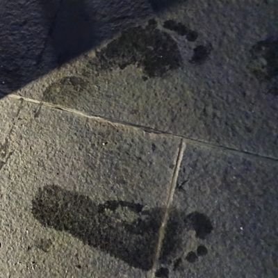 _sandreborn's profile picture. blackism 🤟🏿

⚠️ akun ini tidak ramah untuk pendengaran....follow at ur own risk!!⚠️