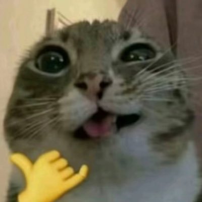 reapersdream74's profile picture. Hello! bi. 18. I like to repost. Feel free to request to follow!