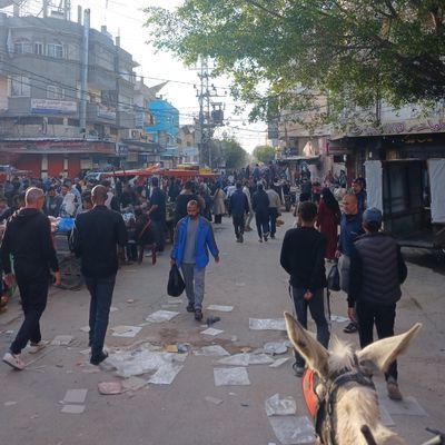 Hamdankamal4's profile picture. 