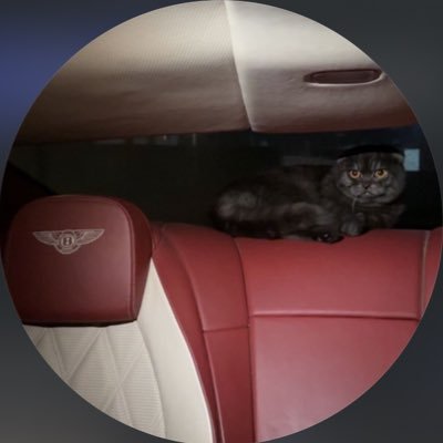 eewv_'s profile picture. 