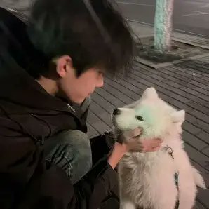 jujiao227's profile picture. 