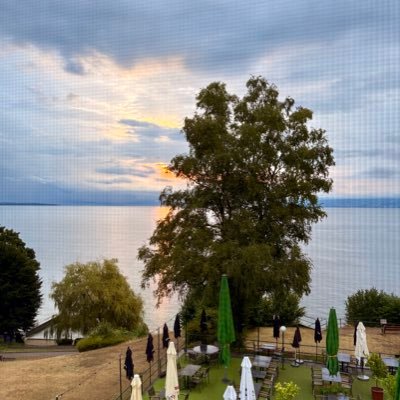 gs_conseil's profile picture. 