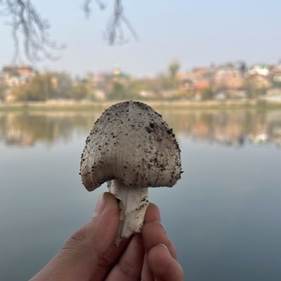 thespextatorkx's profile picture. 