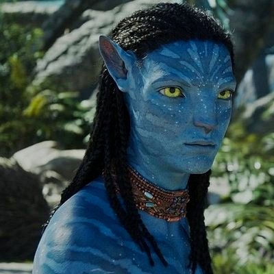 Adamdupon19's profile picture. 