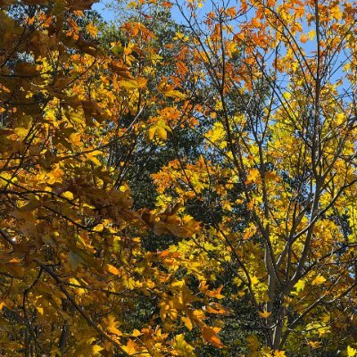 eveningbloom82's profile picture. orld traveller. ✈️🏖️🍻
Angler🐟
Love making friends with people from different culture
Life is beautiful. ☀️🌌But we must be since
Appreciate🚫Promote products