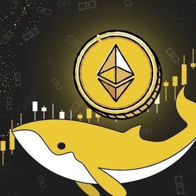 EthereumW1482's profile picture. 