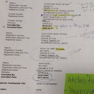 kathycal447's profile picture. Bullies don't  scare me. 
I hate liars & litterbugs 🇨🇦 🇺🇸 
I don't know you well enough to CARE what YOU think.
I observe & share my opinion.