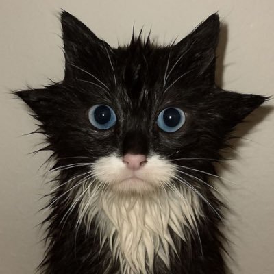 maferpicotres's profile picture. 