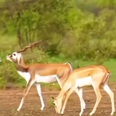 F04315103's profile picture. كوبل married
36/37