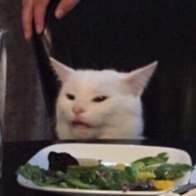 bakhshi_cs's profile picture. Software Engineer, Chess enthusiast, UAP artist, #btc cultist