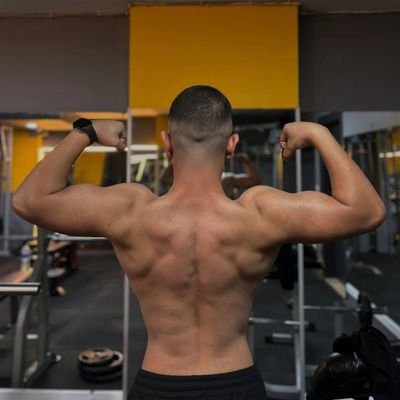 dogmayanzi's profile picture. 🇹🇷