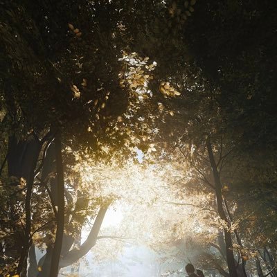 NaifBooo's profile picture. تعلمت العلم لنفسي وكذلك كان الناس