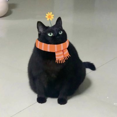 liverpit's profile picture. 