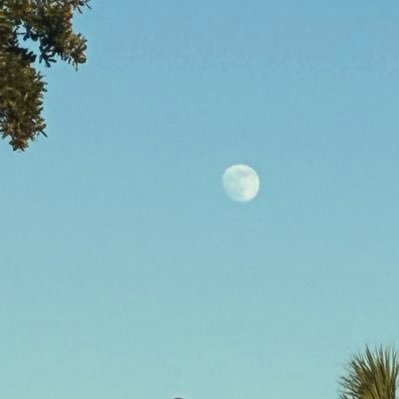 messiahthebest1's profile picture. 