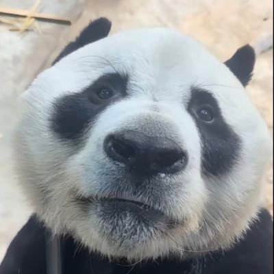 wy1002wy's profile picture. 打得一拳开，免得百拳来🇨🇳