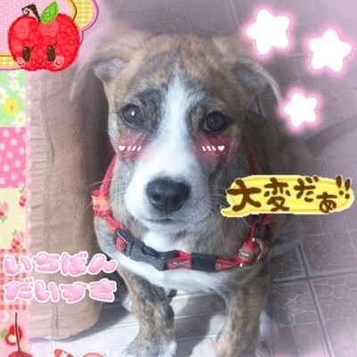 cari3s's profile picture. ｡⋆  .𝑺𝒉𝒆/𝑻𝒉𝒆𝒚˚｡⋆
𝒱𝒶𝓂𝓅𝒾𝓇ℯ 🥩🎀🦇🪱
G̴̨̛͉̹̤̓̏̋͜͠͝x̶͇͓͖̊̀̓̆͂̓̈́͝ṙ̶͕͙͎͖̺͚̦͎̞̀́̑̑̕b̸͙͚̠̭͈̯̓̈́x̵̛̘͍͎̫̭͇̀̓͗̚͠g̵̨̖̼͓̣̘̜͚͛̋͗̓́̔̉s̷̜͉̯͗̐͑̋̀́̓͌͠͠  ღ´͈ ᵕ `͈ )♡