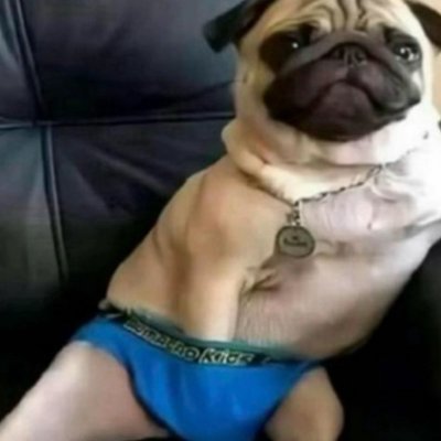 HumbertoLeoo3's profile picture. 