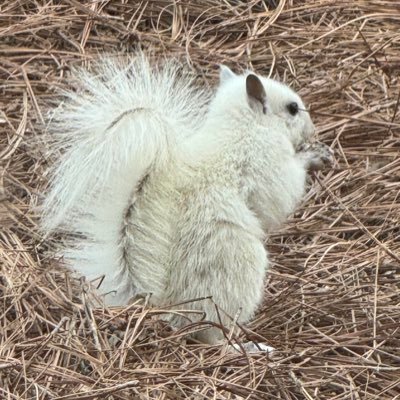 JeffXat's profile picture. 