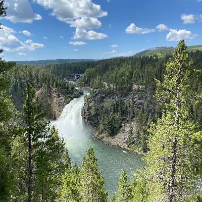 pnrink264's profile picture. 