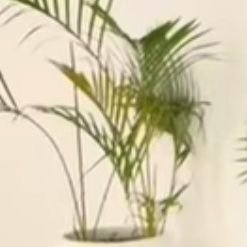 TableBaits89299's profile picture. All bait services
megalinks
channels
File request