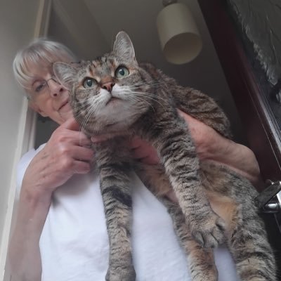 TheCrescent52's profile picture. Northumberland lass over a certain age!