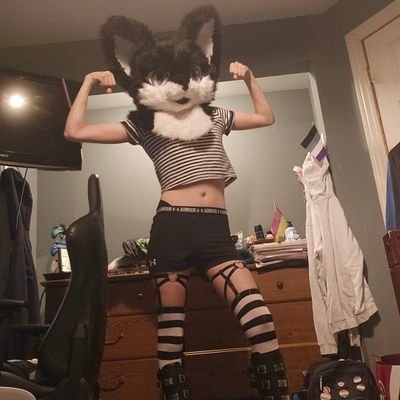 Dylan_zephy's profile picture. furry, femboy, panromantic asexual, Minnesota 
DONT DM ASKING FOR COMMISSIONS OR IMMEDIATE BLOCK