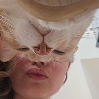 Nanilanddia's profile picture. Hincha de Boca Juniors. Fanatica de Oasis y Taylor Swift. 
Me gusta quejarme de todo. 
Hay que vivir sin filtro, como Liam Gallagher