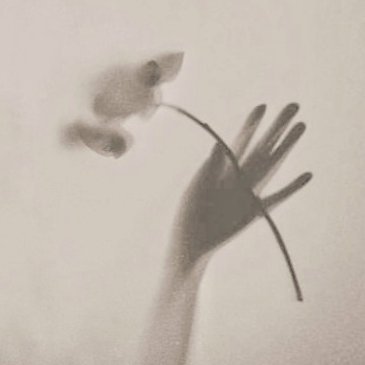 Aninhatalhouco's profile picture. “Behind every beautiful thing, there's always some kind of pain"

— Bob Dylan