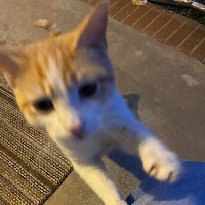 kerin1195242's profile picture. 