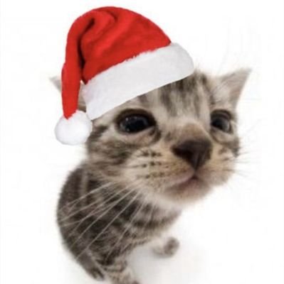 Epicrblx8907's profile picture. I like sports