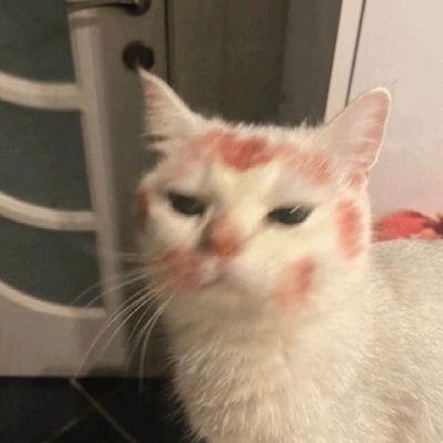 Apsehpyarhai's profile picture. آپ سے ہی تو بس پیار تھا