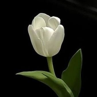 memayungcerita's profile picture. Selamat datang di tempat terbaikku tuk berkeluh-kesah, di mana kata demi kata jadi pelipur lara, dan setiap rasa yang kusimpan akhirnya menemukan rumah.