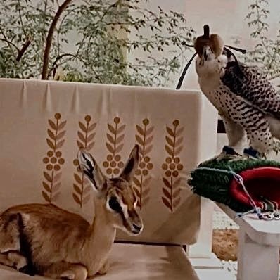 2bwer's profile picture. ثَورِيّ هَادِئ مُتَجَلِّد 🎙️