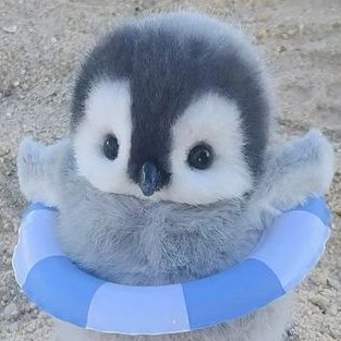 Kxnshin10's profile picture. cs student // love building cool projects!!