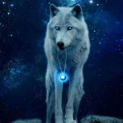 cicciof020's profile picture. 