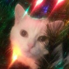 Arthhie's profile picture. Witcher and CS2 Enjoyer, a chef. 
Being positive cause there's enough negativity in the world.