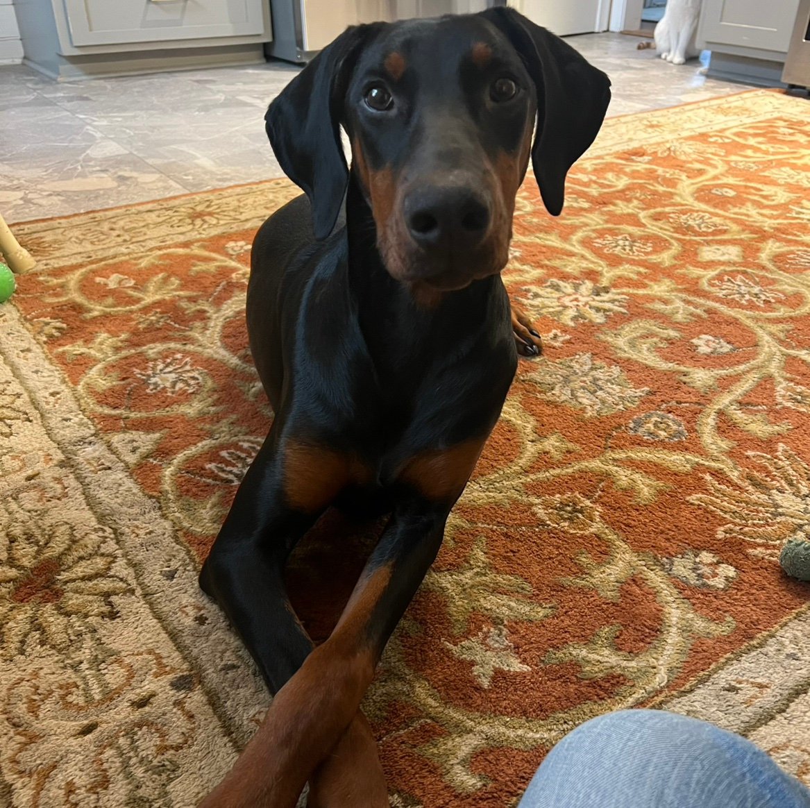 JohnTucker0218's profile picture. Father,Husband.   MAGA/2a.