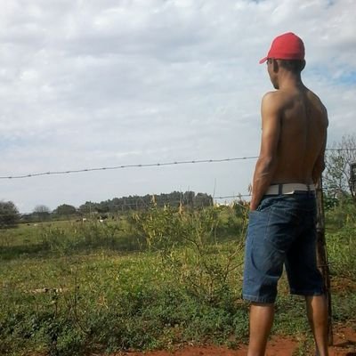 elsonDo44078717's profile picture. A semeadura é opcional,
mas a colheita é obrigatória