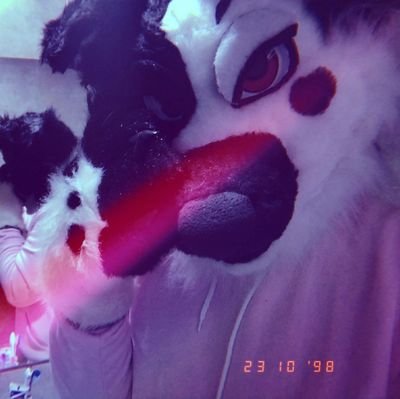 Tigzop_puppy's profile picture. Fursuiter of Argentina 🇦🇷                                                                  
             the order of the collies🐕 
Very good boy 🎾