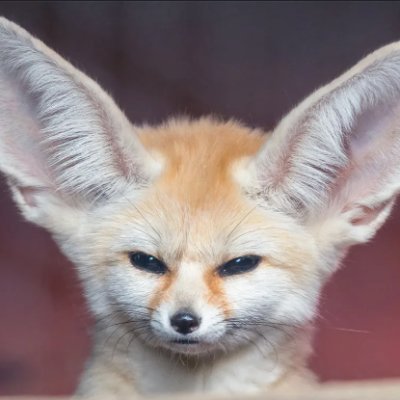 FrenzyMalc's profile picture. Let's get this bread